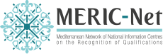 meric net logo